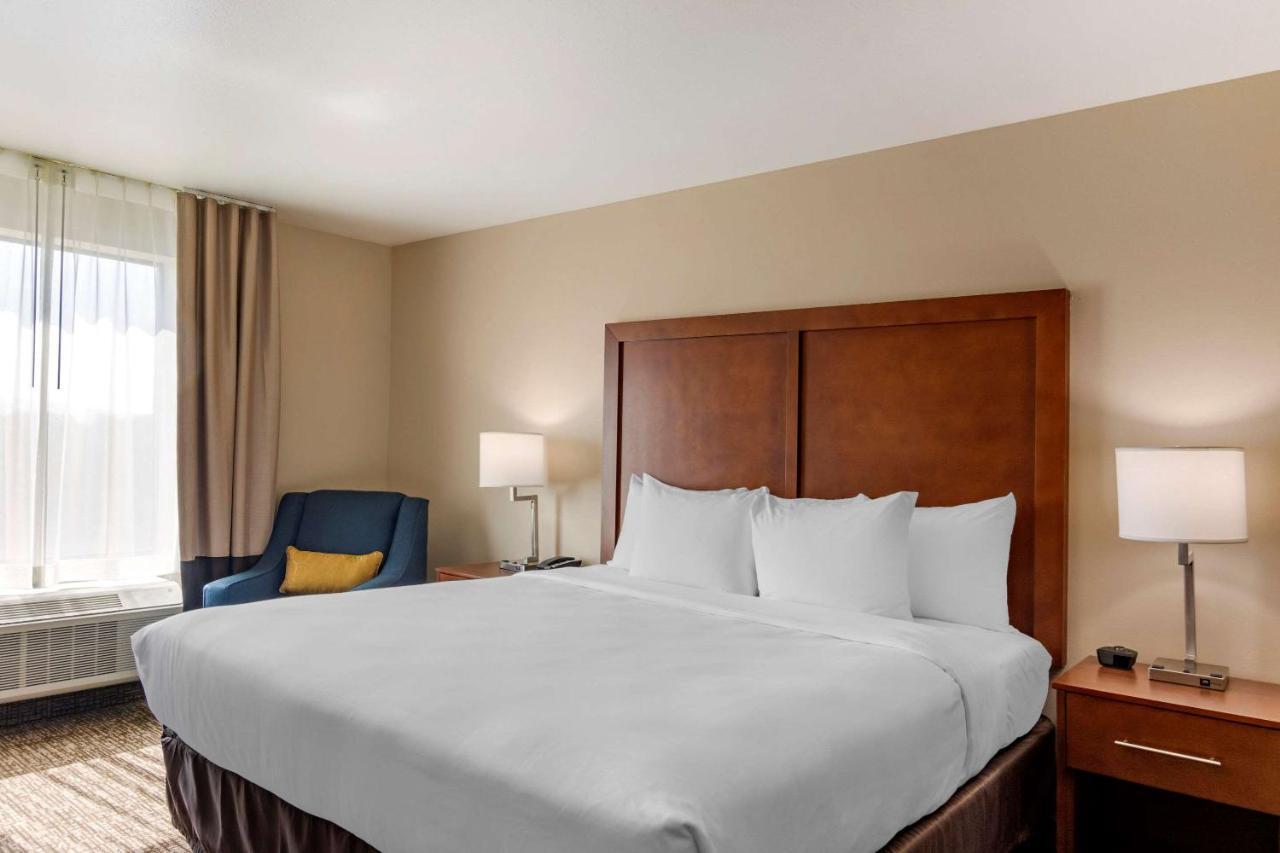 שרלוטסוויל Comfort Inn & Suites מראה חיצוני תמונה